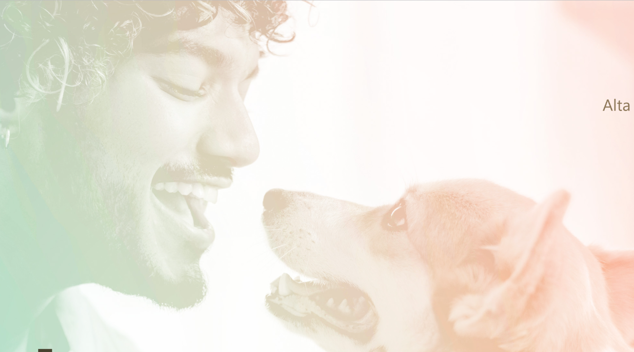 Tutor e cão em momento de afeto
